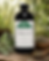 Thumbnail: Mullein Leaf