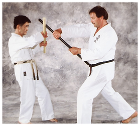 Bruce Perkins - Kudan (9th Dan)