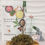 Thumbnail: Healthy Life Center / Zi Hua Di Ding / 紫花地丁 / Viola Herb 1LB