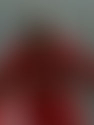 Cissé: O irreverente e azarado