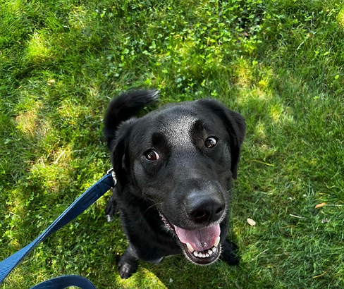 Screenshot 2025-03-12 094139.png