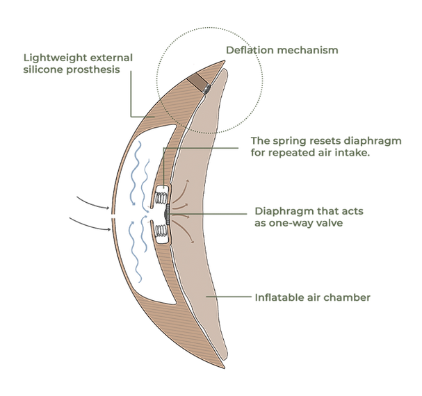 Mechanism.png