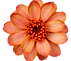images (1) - Edited.png