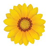 download - Edited (1).png