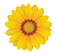 download - Edited (1).png