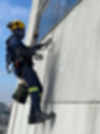 teste de percussão alpcon