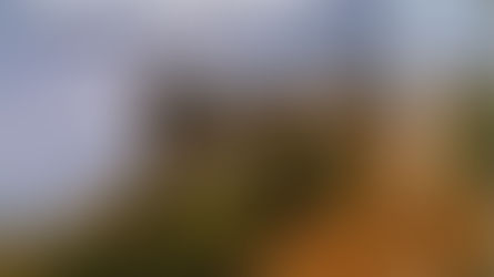 Le Mont Aigoual, entre forêts, fleuves et montagnes