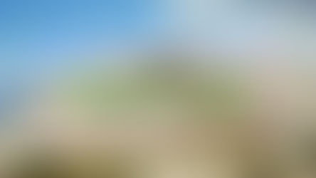 Découverte de la Montagne de Lure, sommet du Tour de la Provence