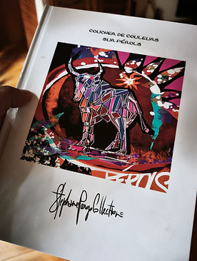 livre des oeuvres de l'artiste Stéphane Parys