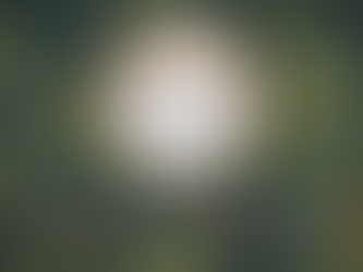 Groupe Actemis ecovadis 2026