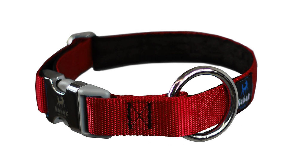 Miniature : Nahak Sports - Collier Rembourré avec Clip