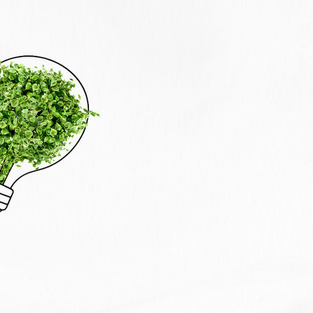 From the Ground Up: Championing Bootstrapped Innovations for Clean Cooking in Tanzania
