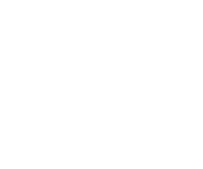 Vanguard Reenactment Stag