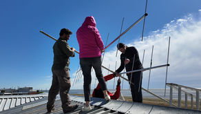 Un taller internacional para fortalecer las capacidades locales y regionales en el estudio de las aves