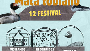 Mes del Macá tobiano: talleres, recorridos guiados, avistajes y teatro ambiental