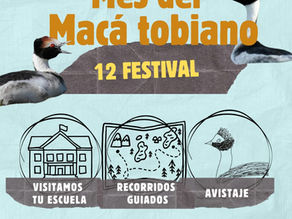 Mes del Macá tobiano: talleres, recorridos guiados, avistajes y teatro ambiental