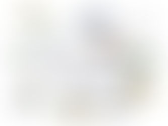 稚アユ　30万尾を放流