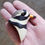 Thumbnail: Common Ringed Plover Portrait