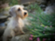 P2920860.jpeg