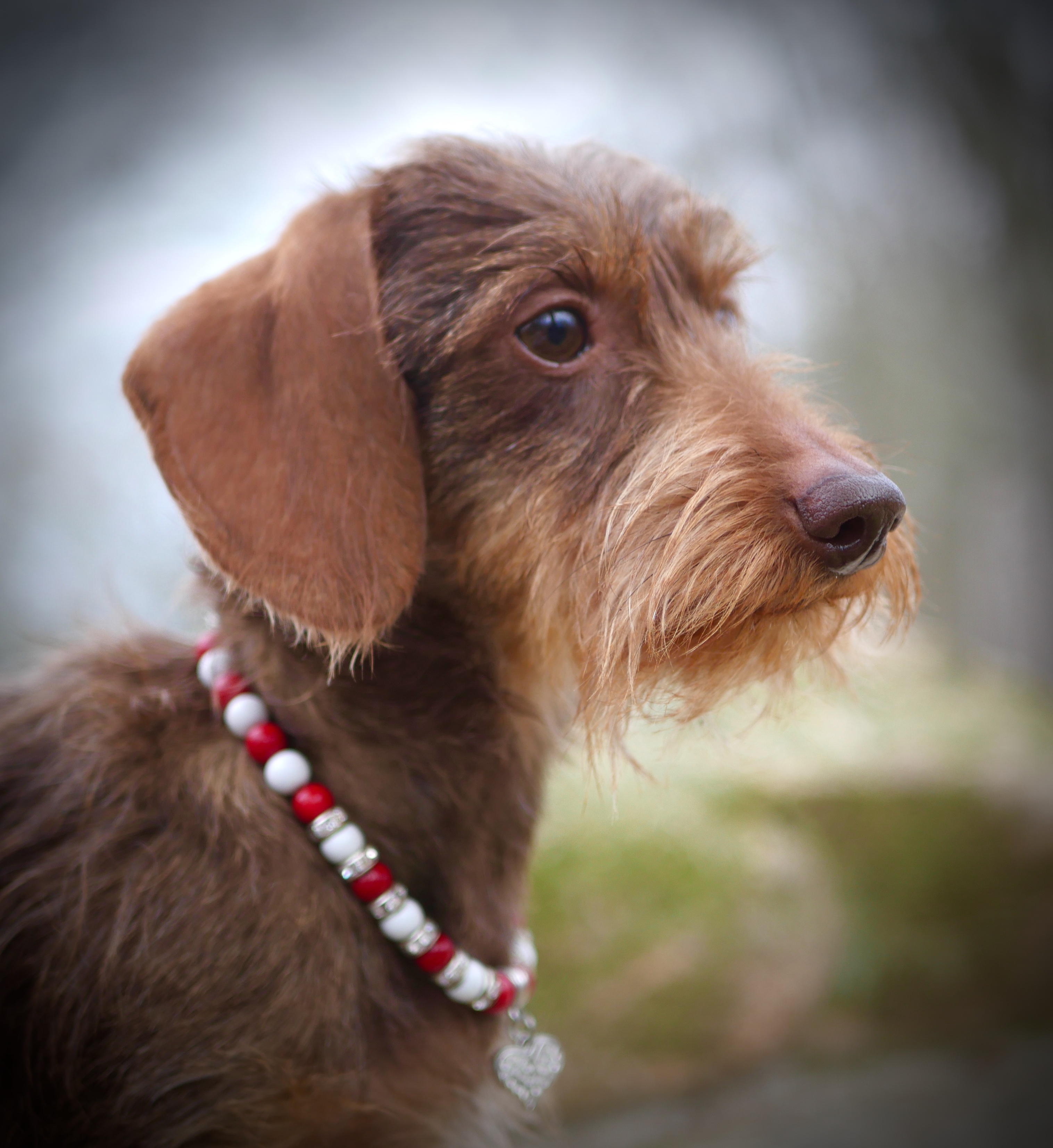 Ruby