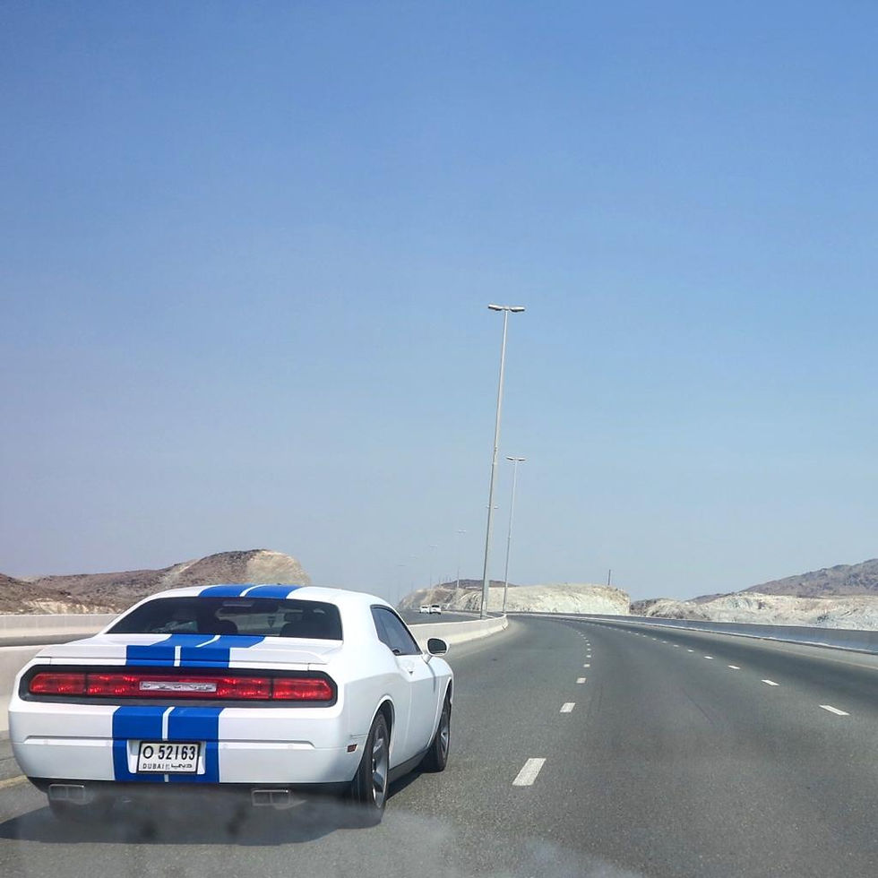 8b96bb5a-18b0-4647-ac68-3e9ffbef4016