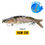 Thumbnail: VTAVTA Sinking Wobblers Fishing Lures - Jointed Crankbait Swimbait, 8 Segment