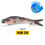 Thumbnail: VTAVTA Sinking Wobblers Fishing Lures - Jointed Crankbait Swimbait, 8 Segment