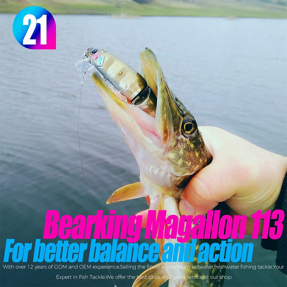 Thumbnail: Bearking 11.3cm 13.7g Professional Jointed Fishing Lure with Black or White Hook