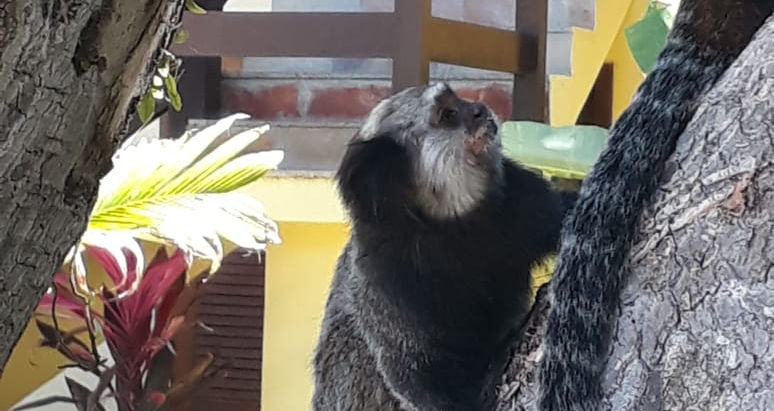 Interaja, observe, fotografe e principalmente preserve no Arraial Bangalô