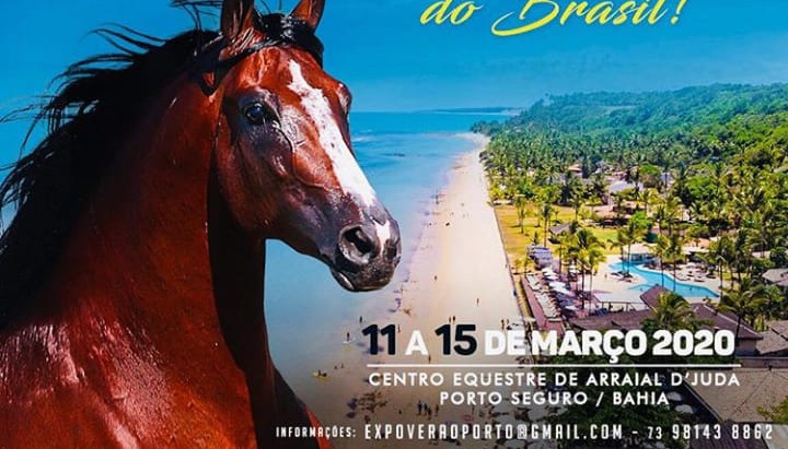 Rede Porto Firme apoia a XIII Expoverão 2020