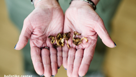 Top 7 Mental Benefits of Microdosing Mushrooms - Backed by Science