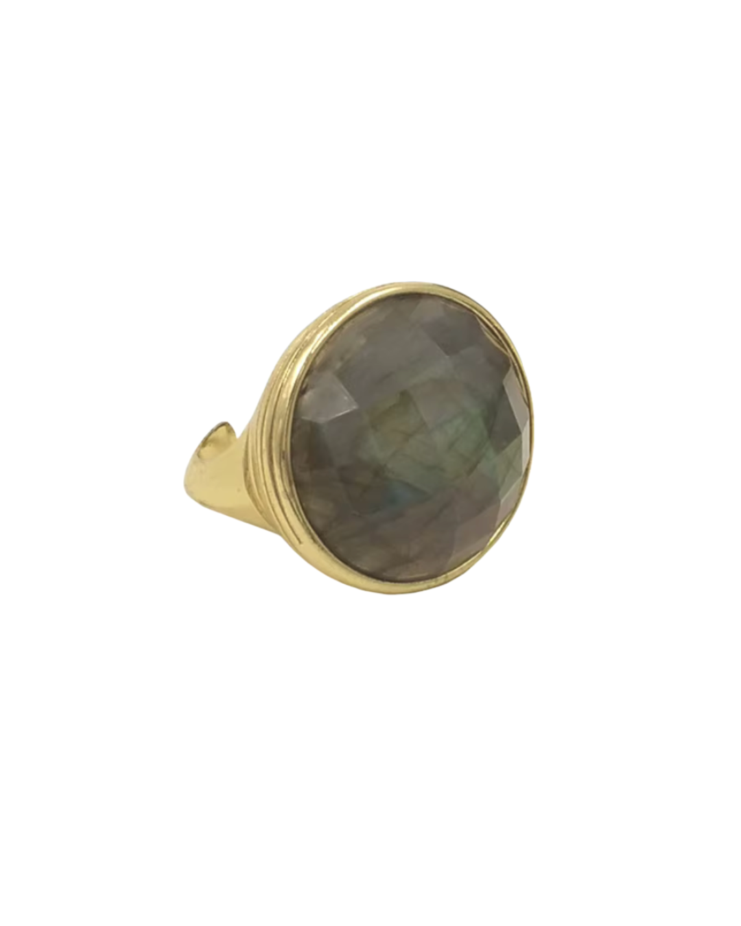 Anillo Vega