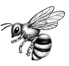 Hornet Japonesa Marina Tatuagem