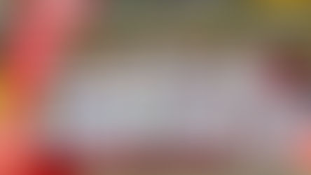 Lingener Judoka sichern sich Klassenerhalt