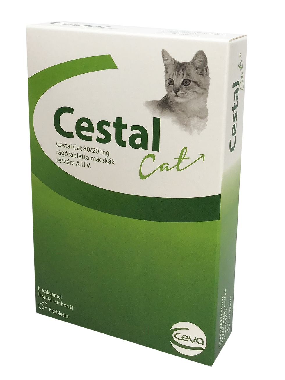Indexkép: Cestal Cat