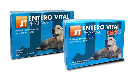 Entero-vital-web-960x570.jpg