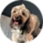 circle-cropped%20(8)_edited.png