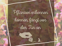 Naturtagebuch