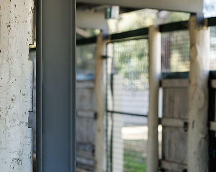 Heritage timber door and framework interior at Bathurst Showground Prior Pavilion