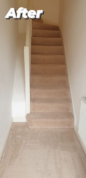 Carpet Cleaning.jpg