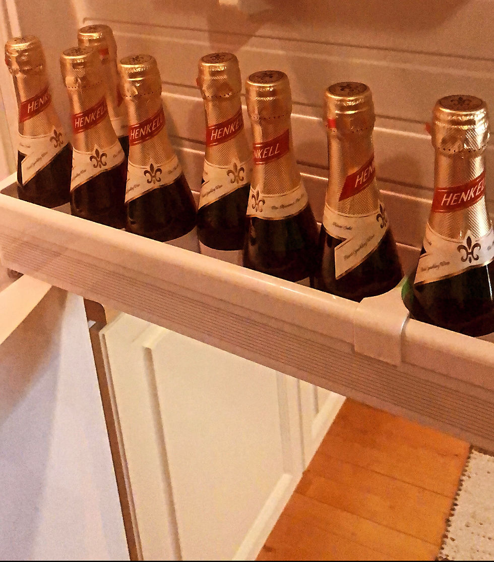 These bottles made Lions…start their business, professional social media accounts, and host their fi