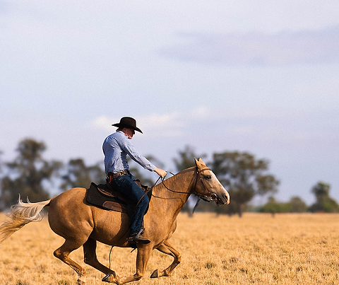 Ben Rasmusson - Stetson 