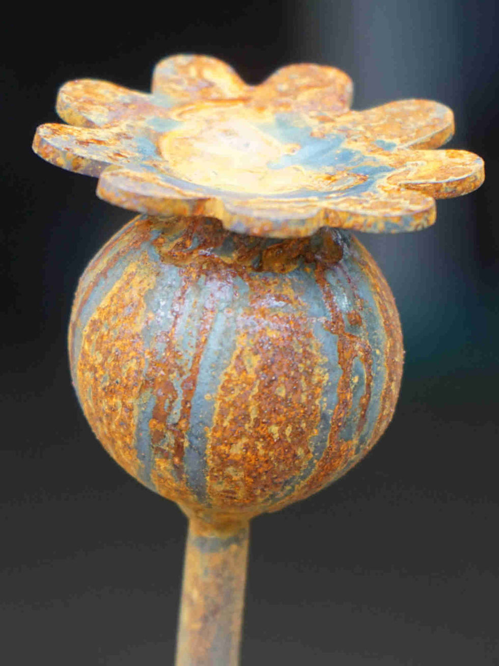 Closeup of rusty metal Poppy seed head showing rusty patina. Ferric Garden.
