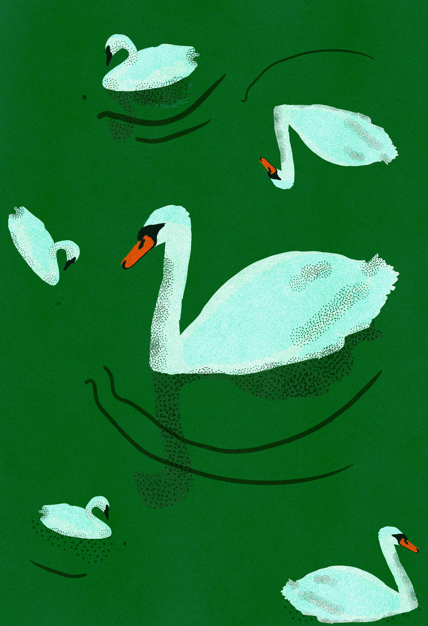 Swan Lake Web