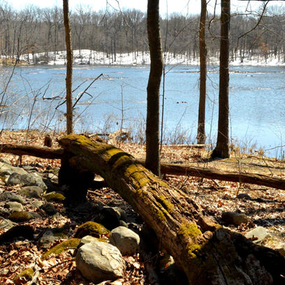 #TrailTuesday: Exploring the Wilderness Trail Loop in Holly