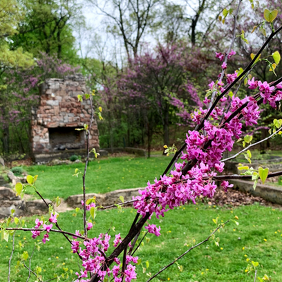 #TrailTuesday: Rediscovering Highland's Historic Haven Hill Loop