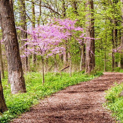 Top Five Outdoor Destinations near Detroit: Spring 2023 Edition