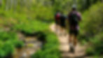 expedition detroit guided hike tours metro michigan outdoors adventure spring summer group