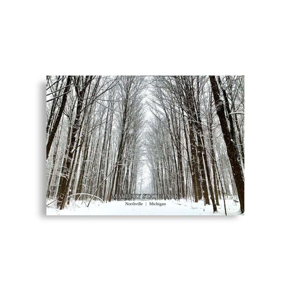Parks Posters Series - Maybury State Park in Winter