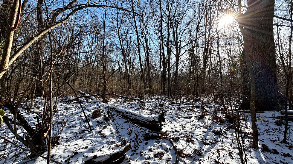 Expedition Detroit kerr hill and four lakes loops trail ortonville state recreation area michigan hiking near detroit guided outdoors pure michigan